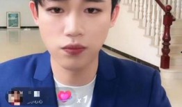 孟贺爆料视频最新消息在线观看,揭秘事件真相，在线观看不容错过