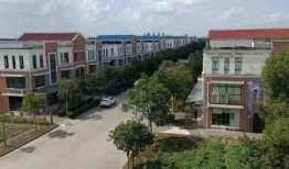 小镇最新爆料,最新爆料揭示惊人内幕